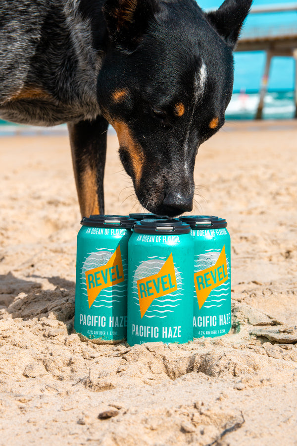 Hero image of Pacific Haze - 4.2% 16pk