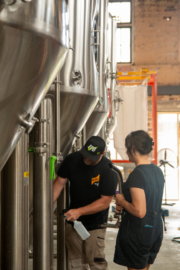 Hero image of Revel Stout