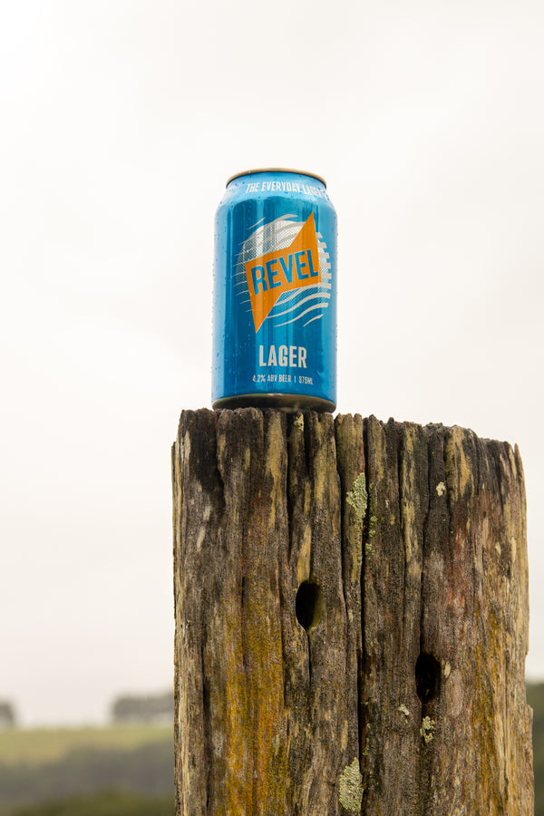 Hero image of Lager - 16pk